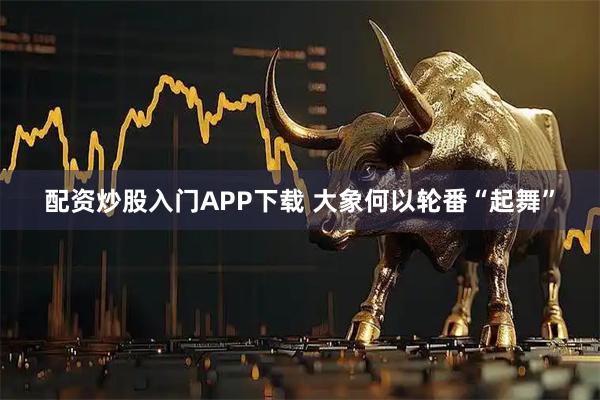 配资炒股入门APP下载 大象何以轮番“起舞”